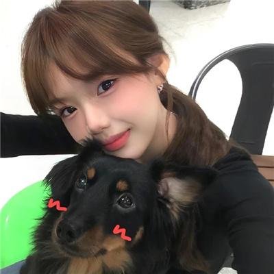 喜羊羊与灰太狼之羊村守护者